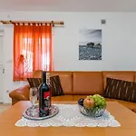House Seagull * Vir